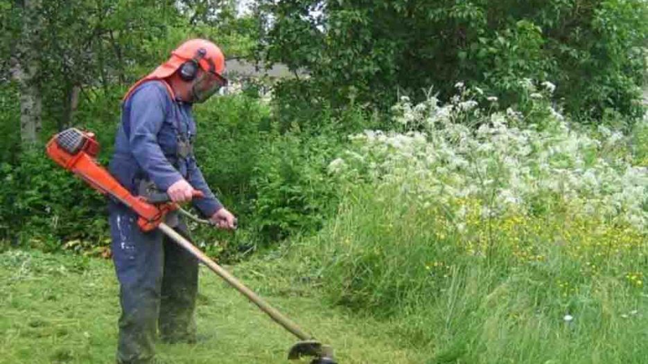 Δήμος Λυκόβρυσης-Πεύκης Υποχρεωτικός καθαρισμός οικοπέδων 2026: Υποχρεώσεις, προθεσμίες και αυστηρά πρόστιμα