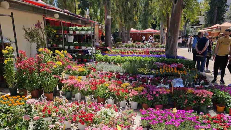 Η έκθεση «Φυτά και Κήπος» επιστρέφει δυναμικά στο Άλσος Περιστερίου