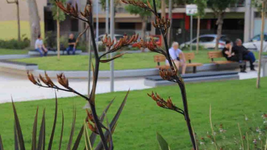 Περιστέρι: Η αναμορφωμένη Πλατεία Καρυάτιδος αλλάζει το πρόσωπο της γειτονιάς της
