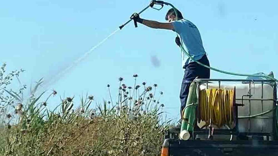 Χρυσά κουνούπια στην Ανατολική Αττική: Διαγωνισμός-μαμούθ 3 εκατ. ευρώ με υπογραφή Χαρδαλιά