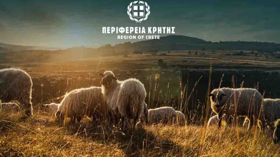 Περιφέρεια Κρήτης: Παράταση προληπτικών μέτρων για ευλογιά αιγοπροβάτων έως 30/04/2026
