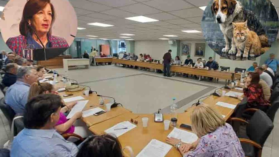 Περιστέρι: Κρυφτό της διοίκησης για τα αδέσποτα με την Μ.Τσιώτα να «σφυρίζει αδιάφορα» – Σφοδρή θεσμική καταγγελία για αδιαφάνεια…