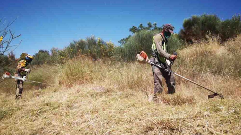 Νέα ΚΥΑ για καθαρισμό οικοπέδων: αυστηρότερο πλαίσιο, αυξημένος  παρεμβατικός ρόλος Δήμων,  ψηφιακός έλεγχος και πρόστιμα (ΦΕΚ)