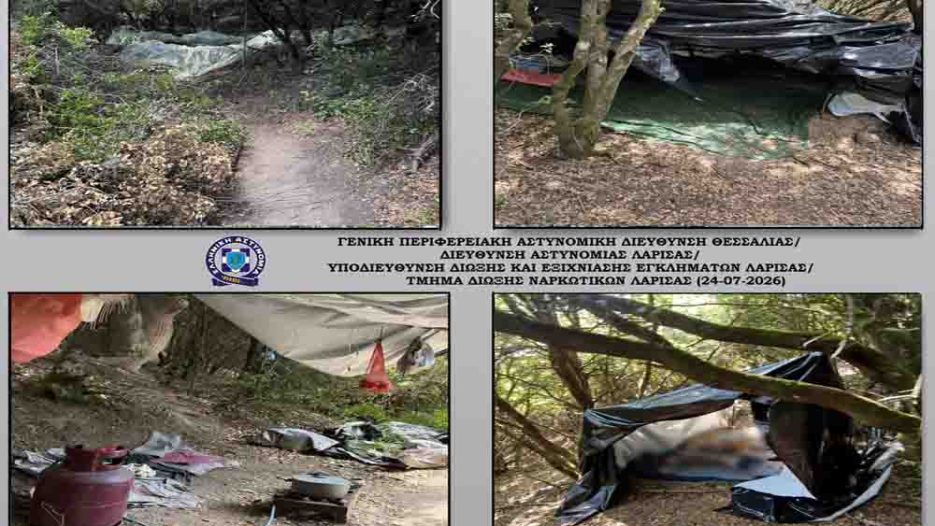 «Χασισοφυτεία-μαμούθ στα Τέμπη: 538 δενδρύλλια και οργανωμένη επιχείρηση» - 2 συλλήψεις