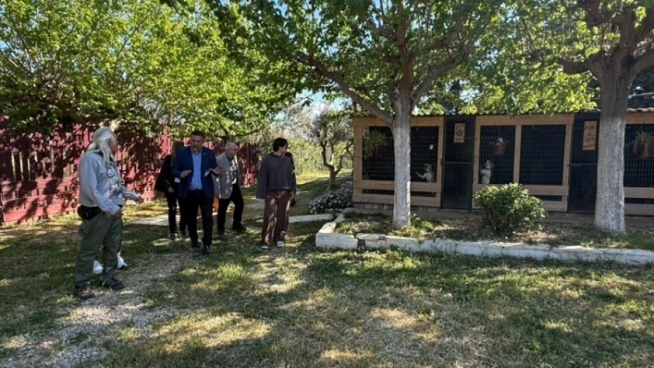 Στρατηγική νομιμότητας και ευζωίας για τα αδέσποτα στον Δήμο Παλαιού Φαλήρου