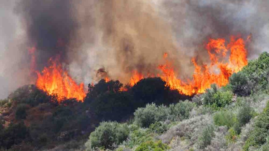 ΚΕΔΕ: Οι δήμοι στην πρώτη γραμμή πρόληψης και διαχείρισης δασικών πυρκαγιών – Τι προτείνει
