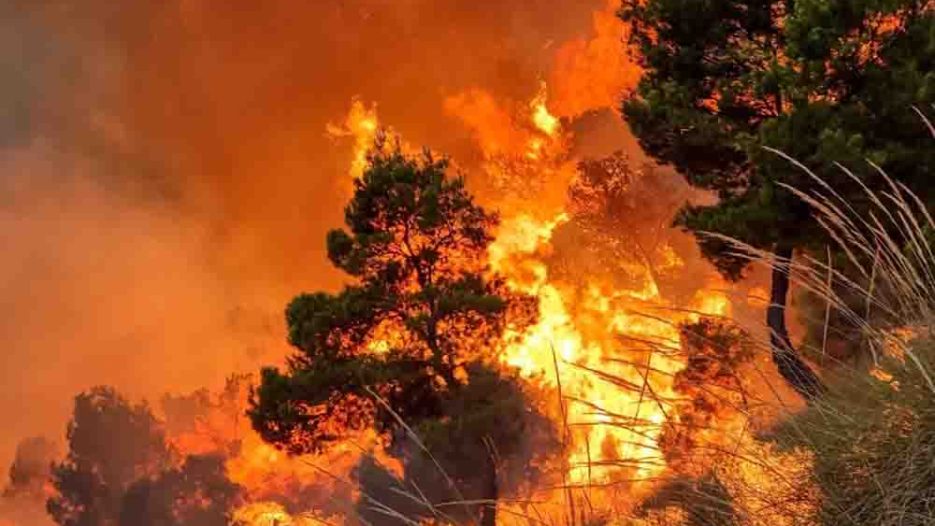 Πύρινος κλοιός σε όλη την Ελλάδα: Μάχη σε πολλαπλά μέτωπα με εκκενώσεις και καταστροφές