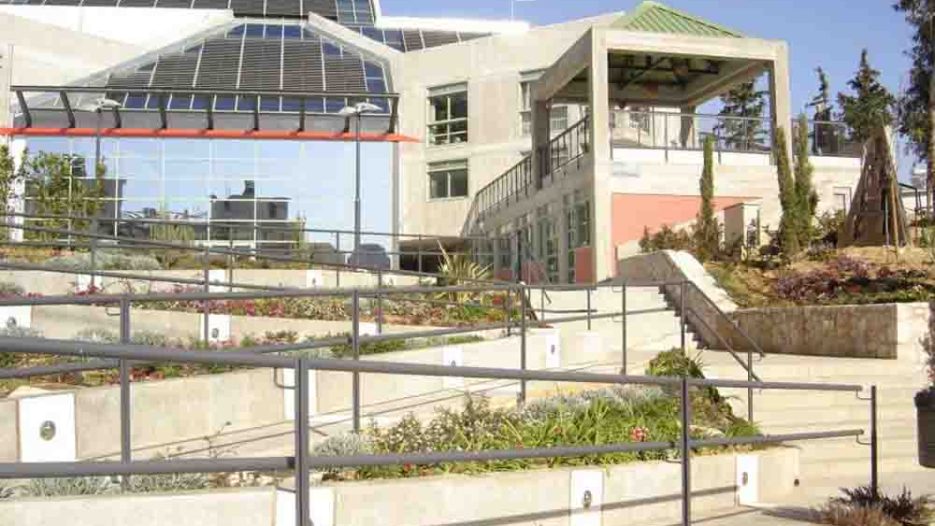 Παλαιό Φάληρο: Πρωτοβουλία για την αποκατάσταση των πυρόπληκτων εγκαταστάσεων της φιλοζωικής «Ηθική Φάρμα» στα Μέγαρα